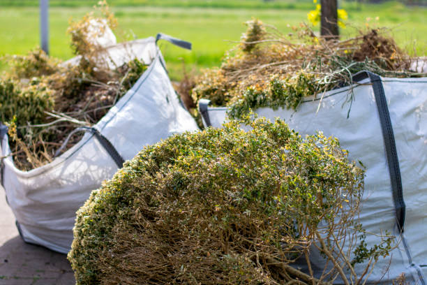 Best Shed Removal  in Byrdstown, TN