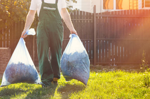 Best Shed Removal  in Byrdstown, TN