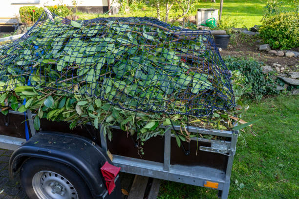 Best Shed Removal  in Byrdstown, TN